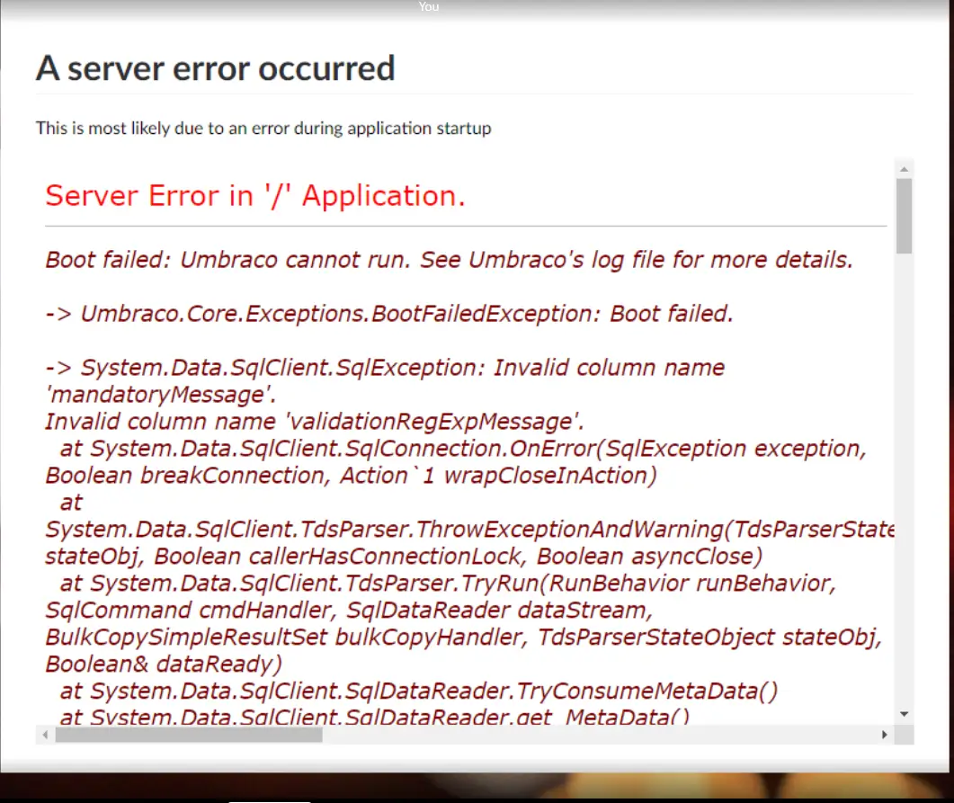 Server Error