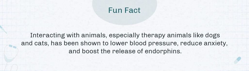 Fun Fact About Endorphines