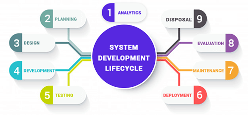 life cycle