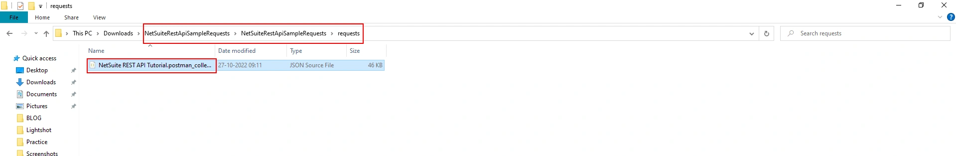 netsuite tutorial platform