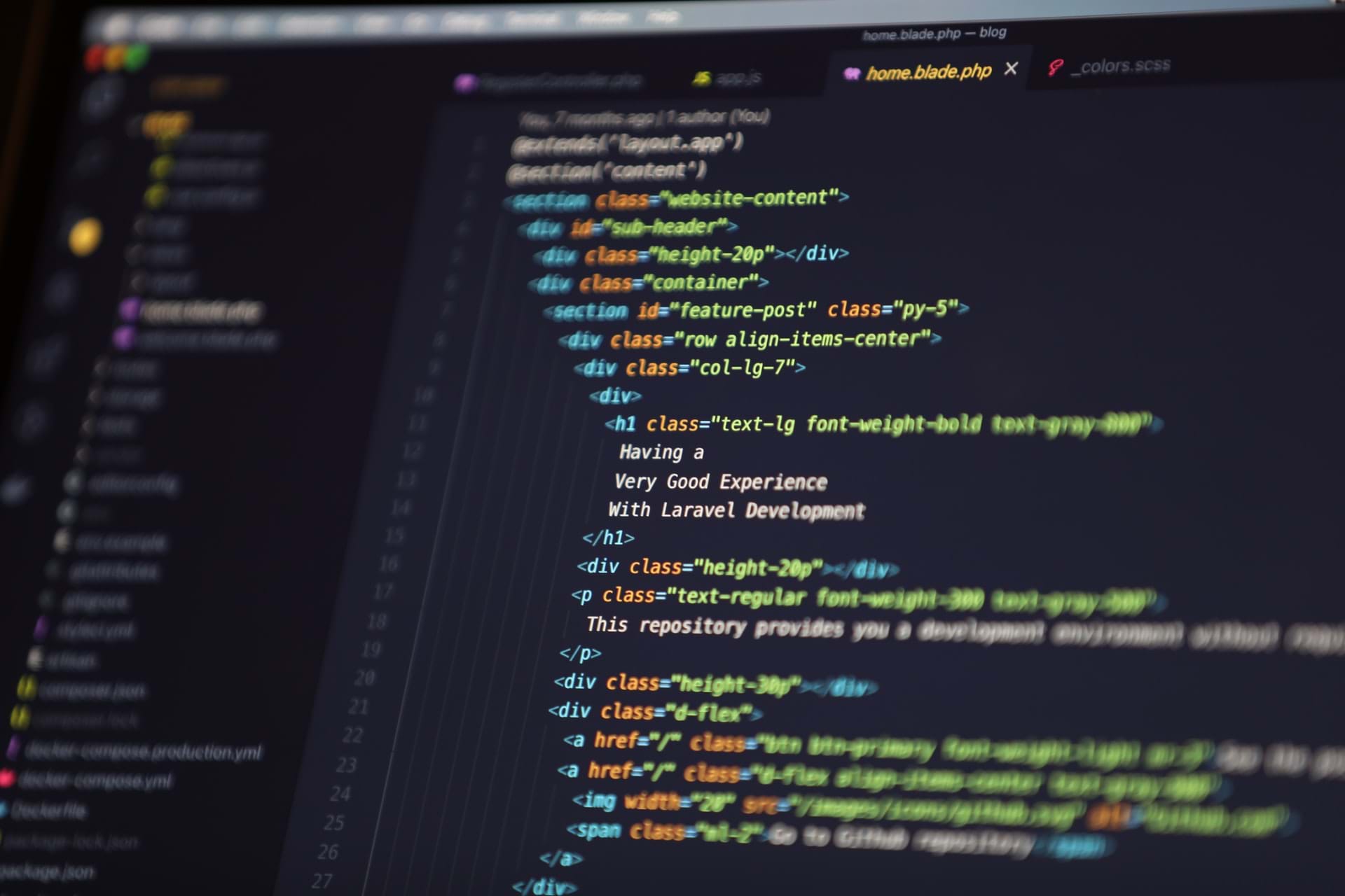 Software Coding