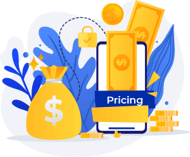 Affordable Ecommerce Website Development affordable ecommerce website development