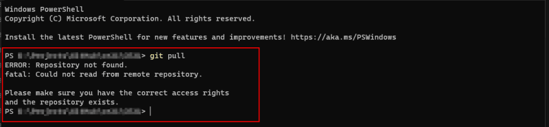 error repository not found