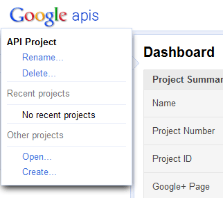 Google plus API Console