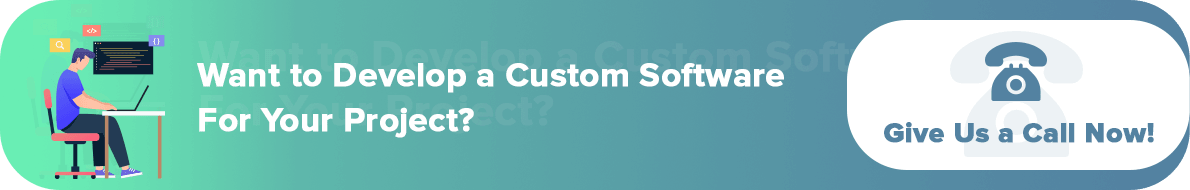 hire custom software developer