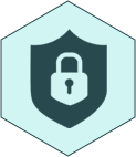 logo of security features in dotnet