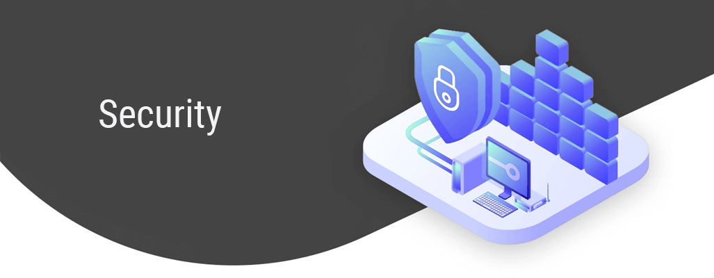 security in software testing