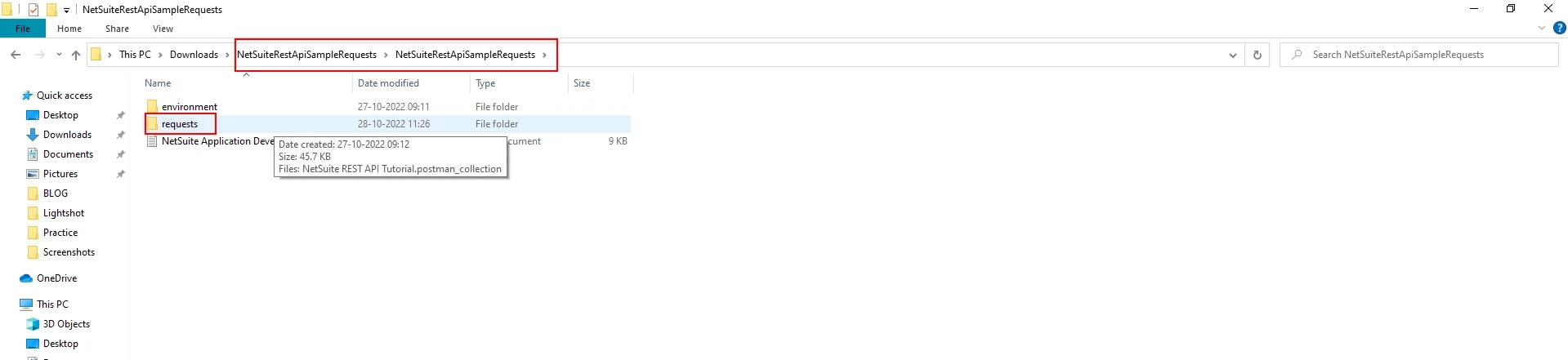 netsuite request
