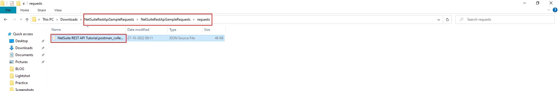 netsuite tutorial platform