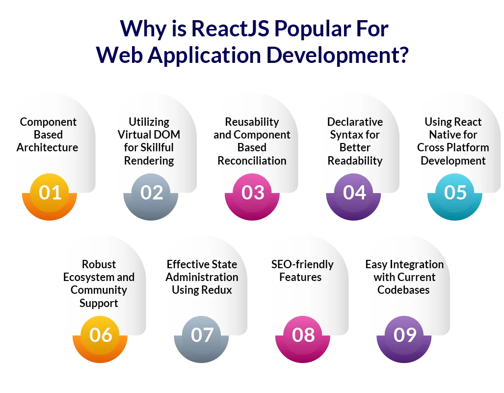 why is reactjs popular for web app development
