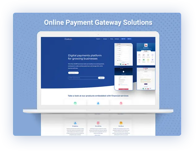 mobile app development for digital payments