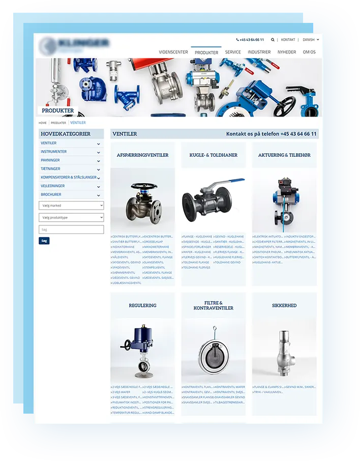 website development for valves
